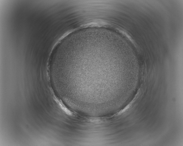 X0000076071018200609221151