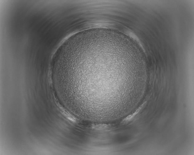 X0000076071019200609221151