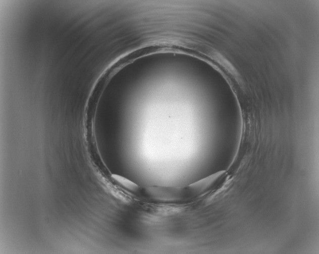 X0000076071020200609221151