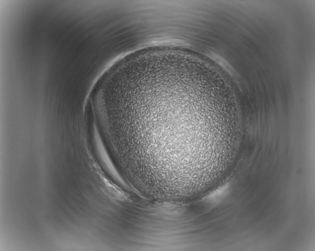 X0000076071022200609221151