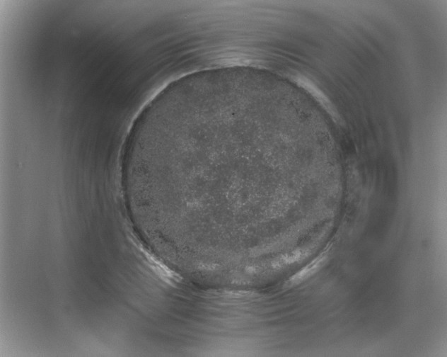 X0000076071023200609221151