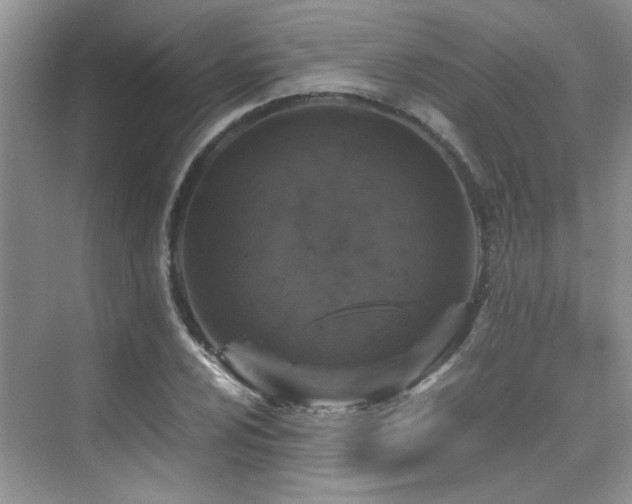 X0000076071024200609221151