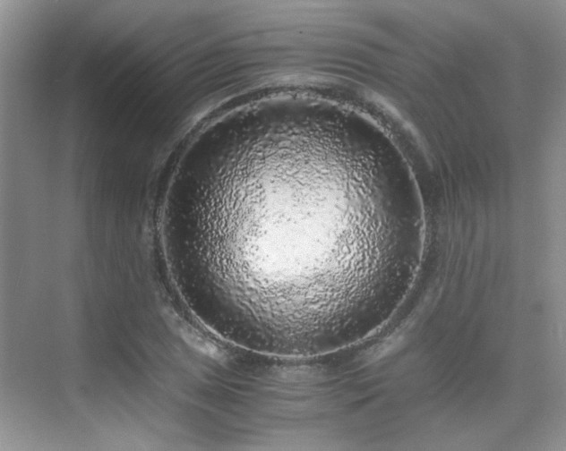 X0000076071025200609221151