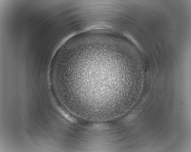 X0000076071026200609221151