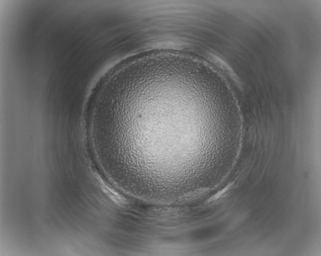 X0000076071027200609221151