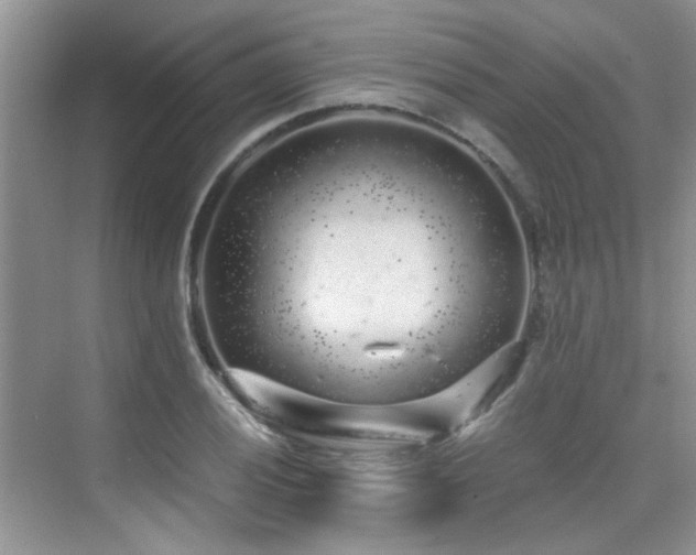 X0000076071028200609221151