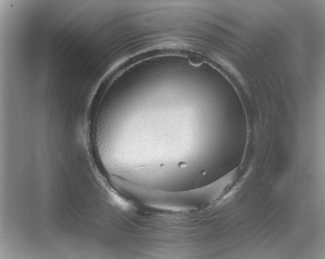 X0000076071029200609221151