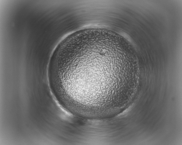 X0000076071030200609221151