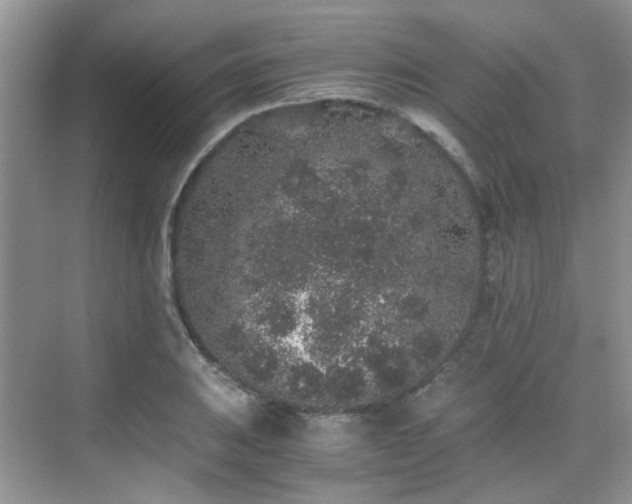 X0000076071031200609221151