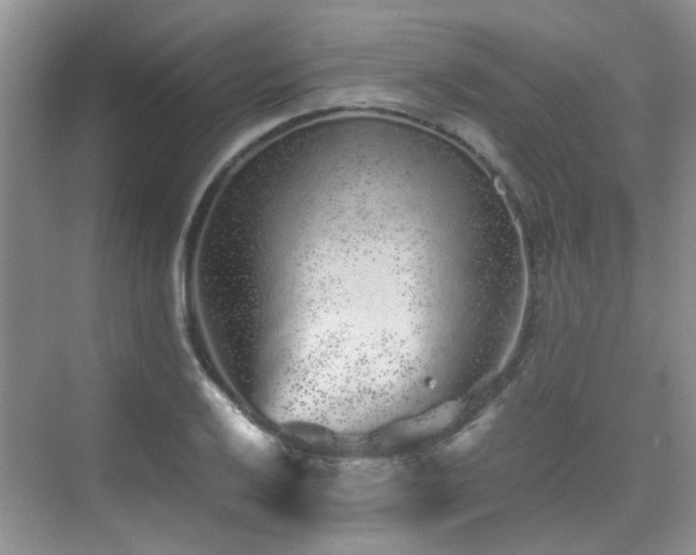 X0000076071032200609221151