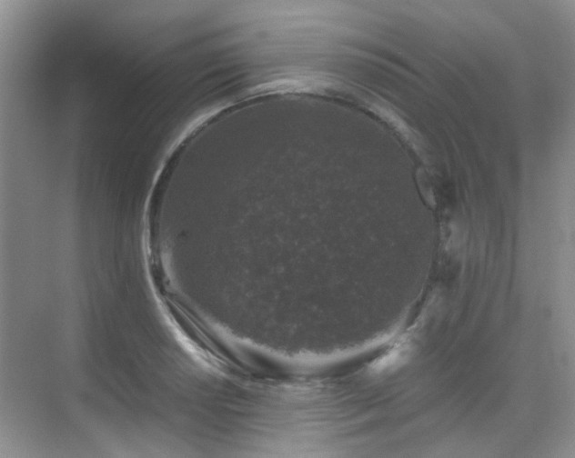 X0000076071034200609221151