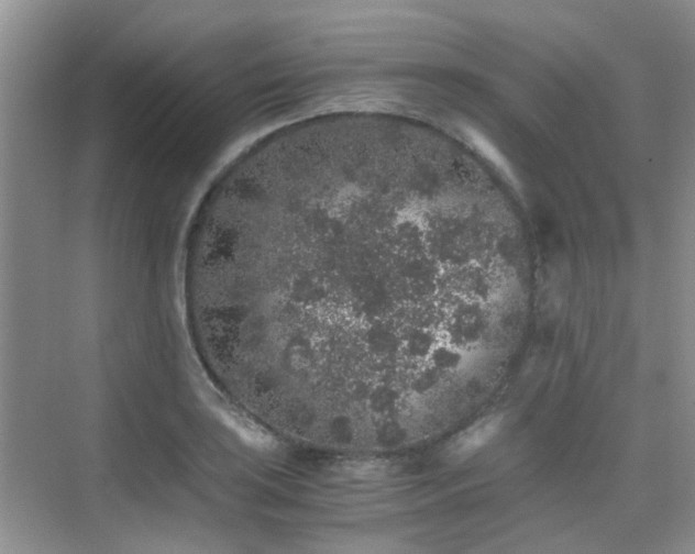 X0000076071035200609221151