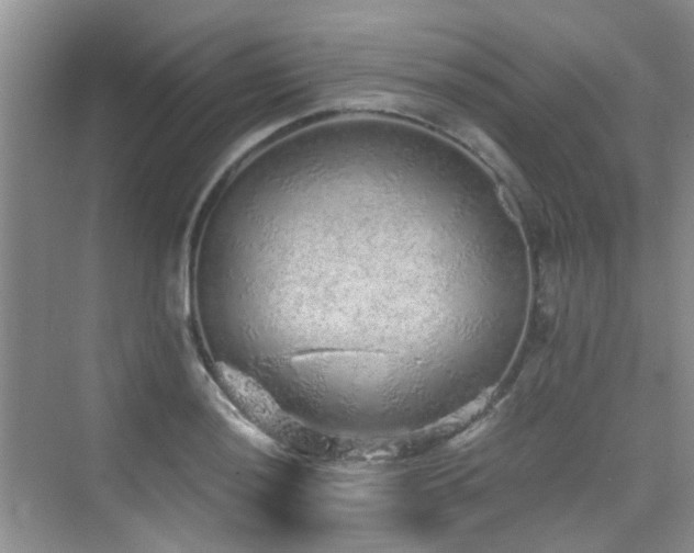 X0000076071036200609221151