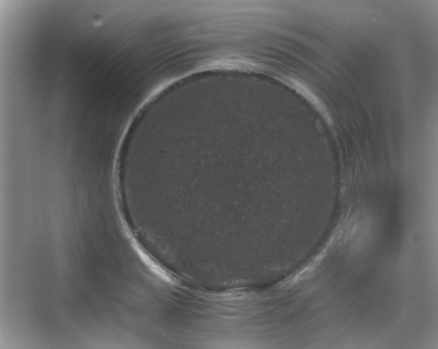 X0000076071037200609221151