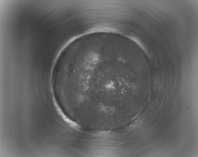 X0000076071038200609221151