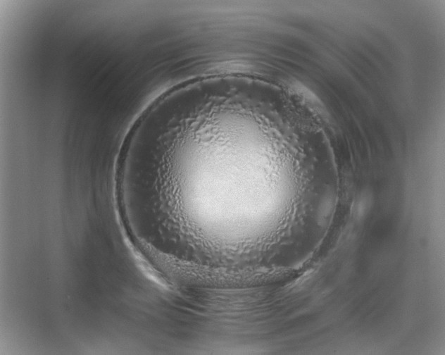 X0000076071039200609221151