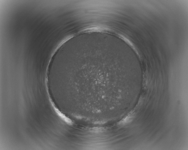 X0000076071042200609221151