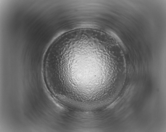 X0000076071043200609221151