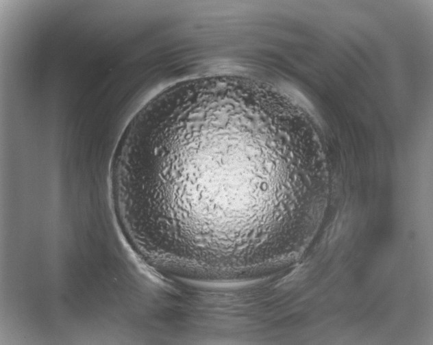 X0000076071047200609221151