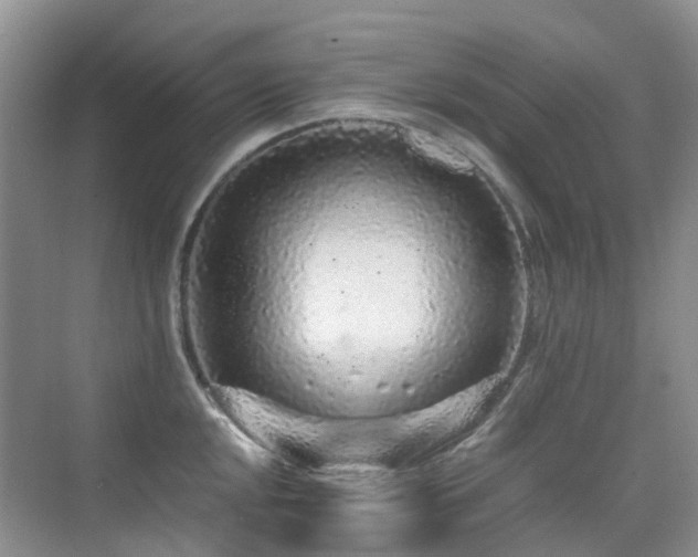 X0000076071048200609221151