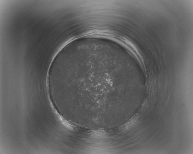 X0000076071050200609221151