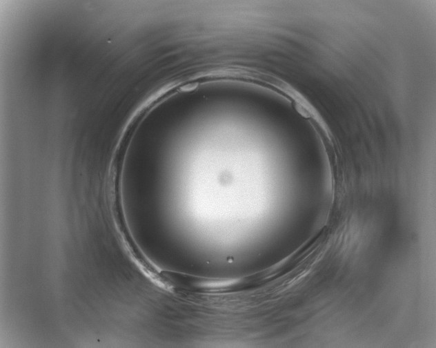 X0000076071053200609221151