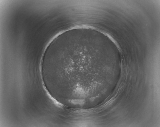 X0000076071054200609221151