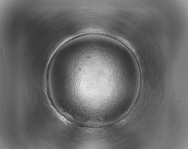 X0000076071056200609221151