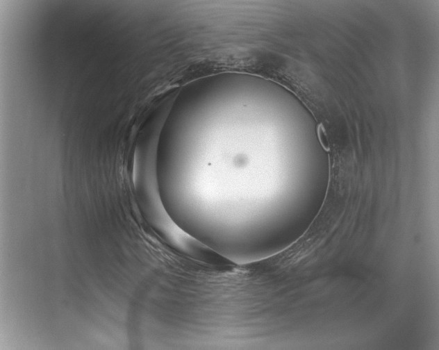 X0000076071058200609221150