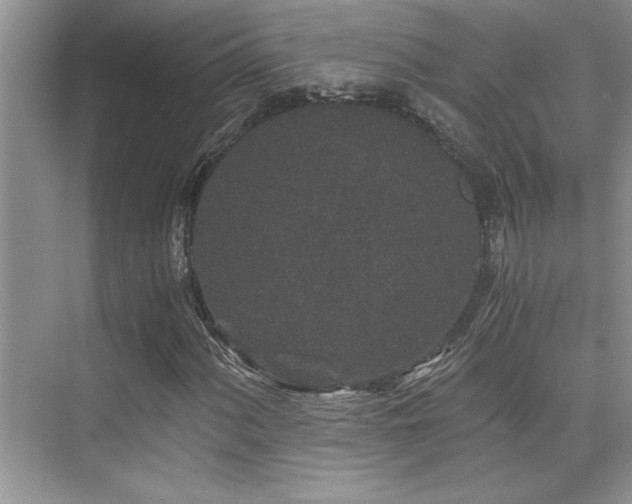 X0000076071060200609221150