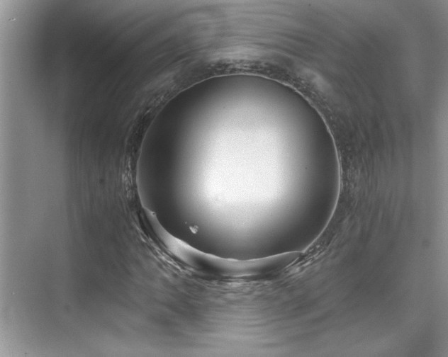 X0000076071062200609221150