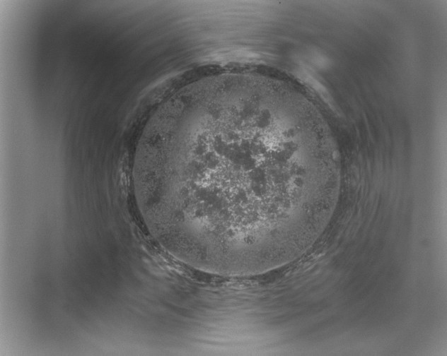 X0000076071063200609221150