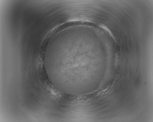 X0000076071064200609221150