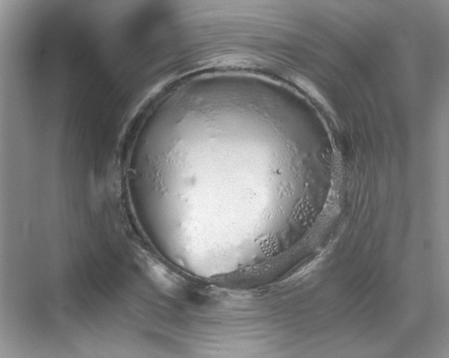 X0000076071067200609221150