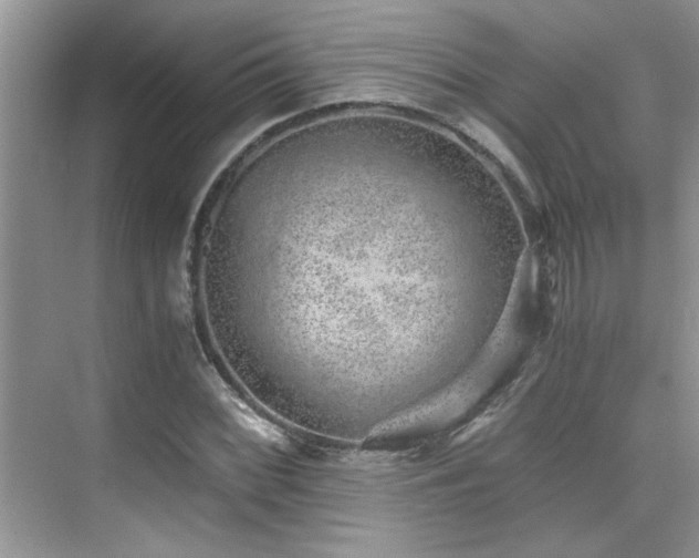 X0000076071068200609221150