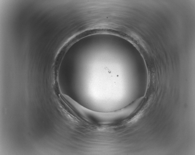 X0000076071069200609221150