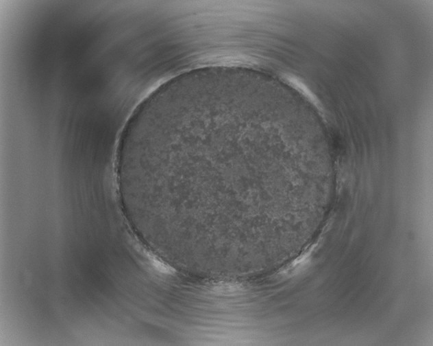 X0000076071071200609221150