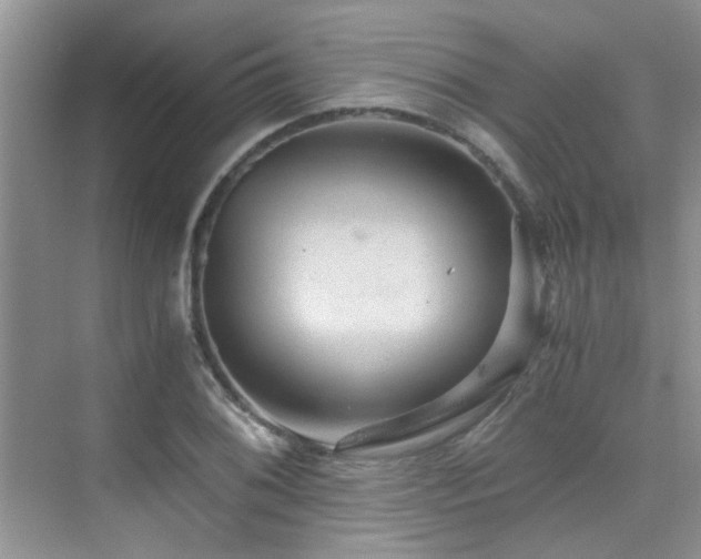 X0000076071076200609221150