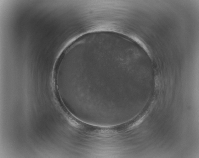 X0000076071077200609221150