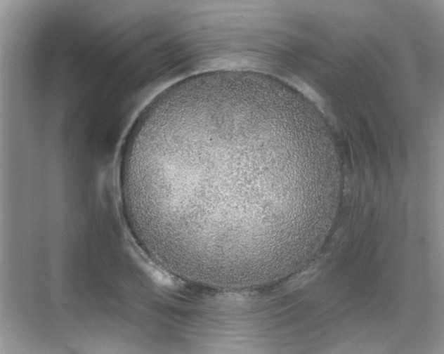 X0000076071078200609221150