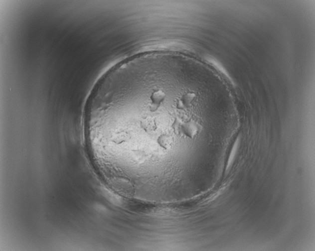 X0000076071079200609221150