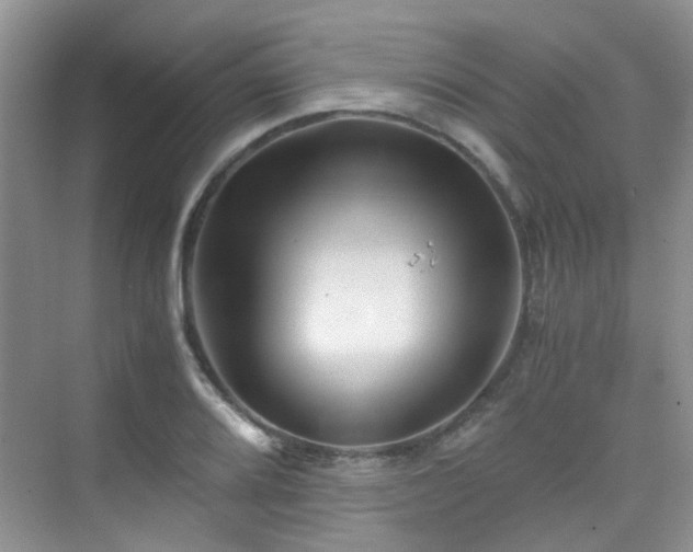 X0000076071080200609221150