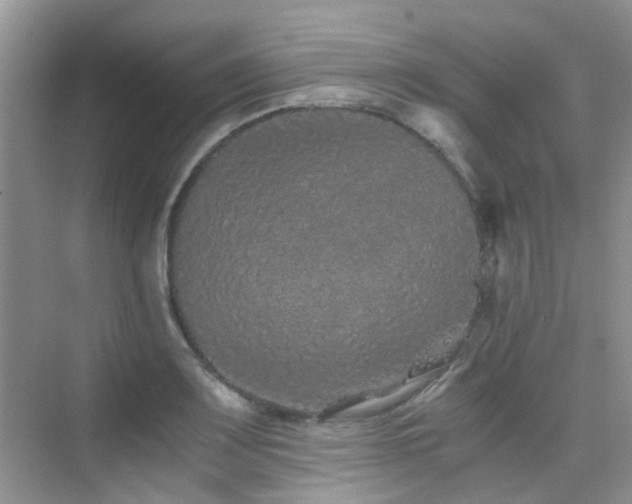 X0000076071083200609221150