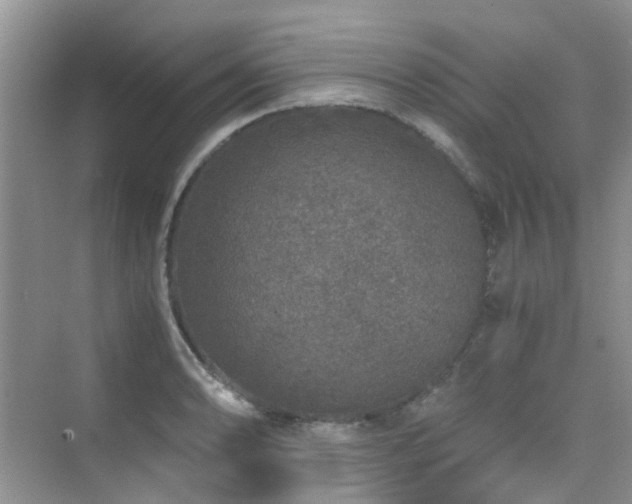 X0000076071086200609221150