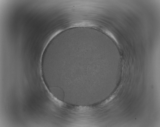 X0000076071087200609221150