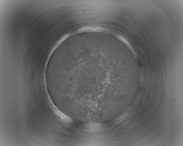 X0000076071090200609221150