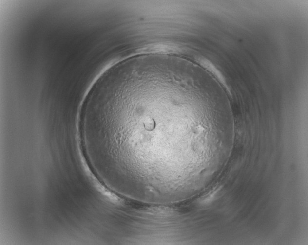 X0000076071091200609221150