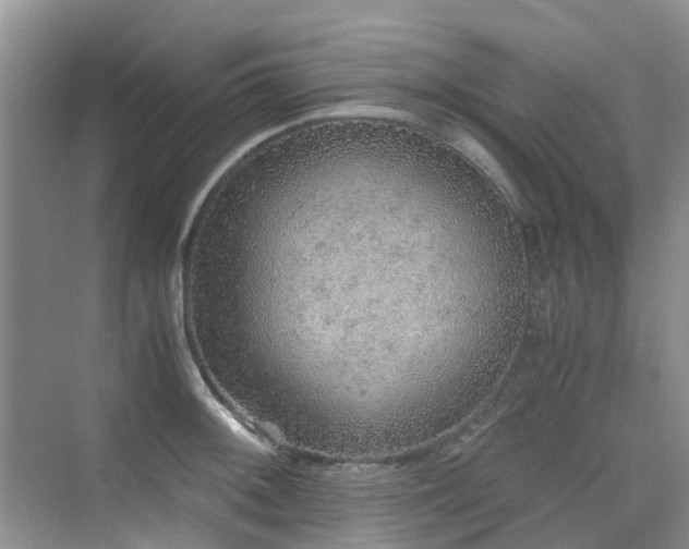 X0000076071092200609221150