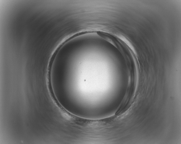 X0000076071093200609221150