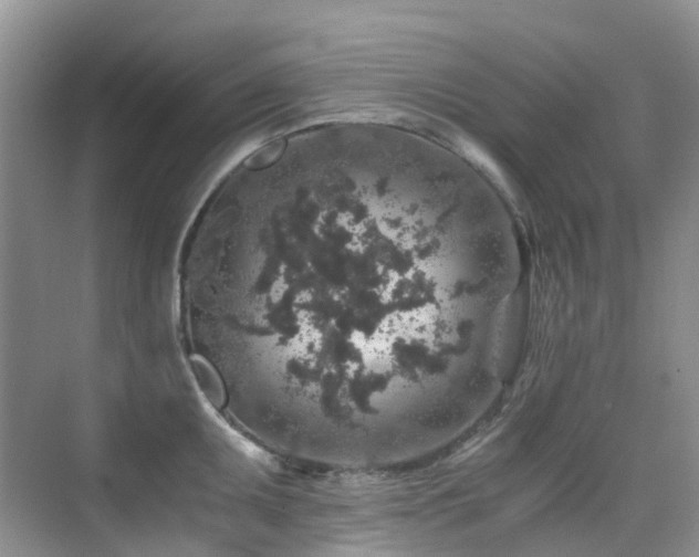 X0000076071095200609221150